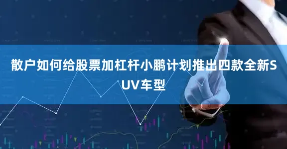散户如何给股票加杠杆小鹏计划推出四款全新SUV车型